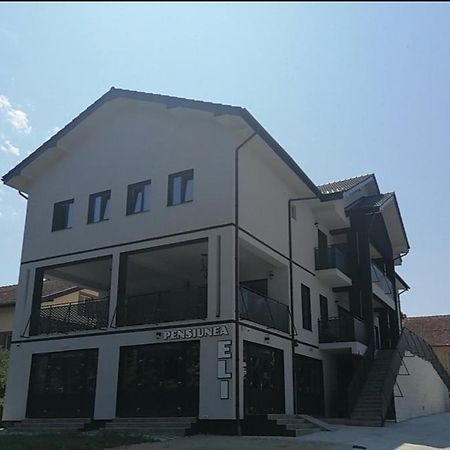 Pensiunea Eli Buziaş Exterior foto