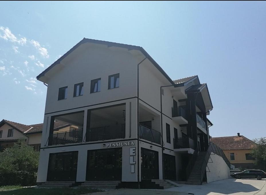 Pensiunea Eli Buziaş Exterior foto